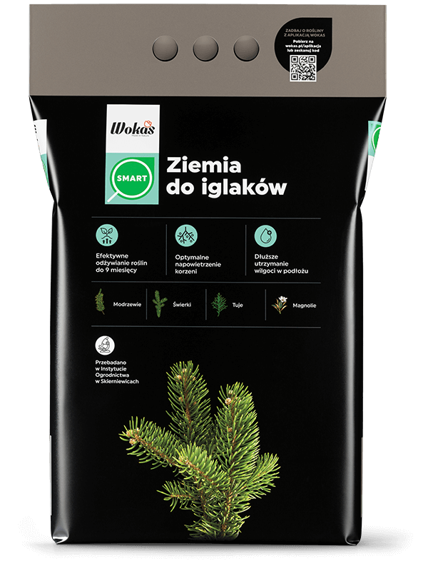 Ziemia do iglaków