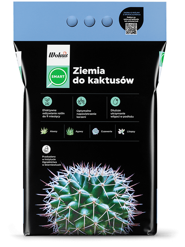 Ziemia do kaktusów