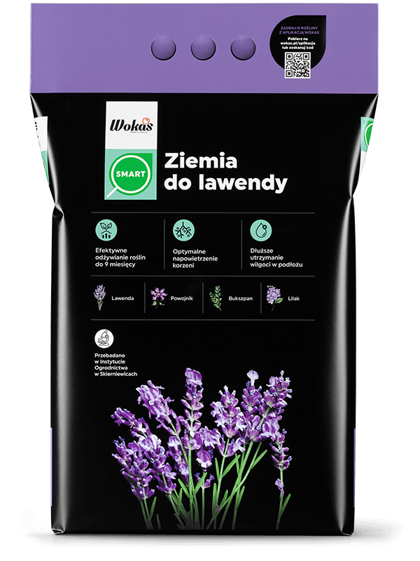 Ziemia do lawendy