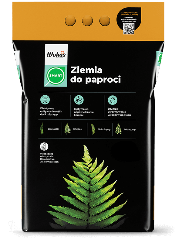 Ziemia do paproci