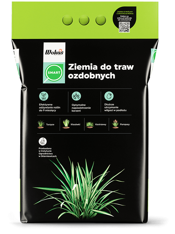 Ziemia do traw ozdobnych
