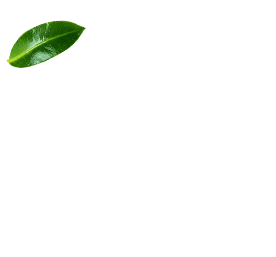 Wokas