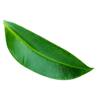 Wokas