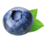 wokas