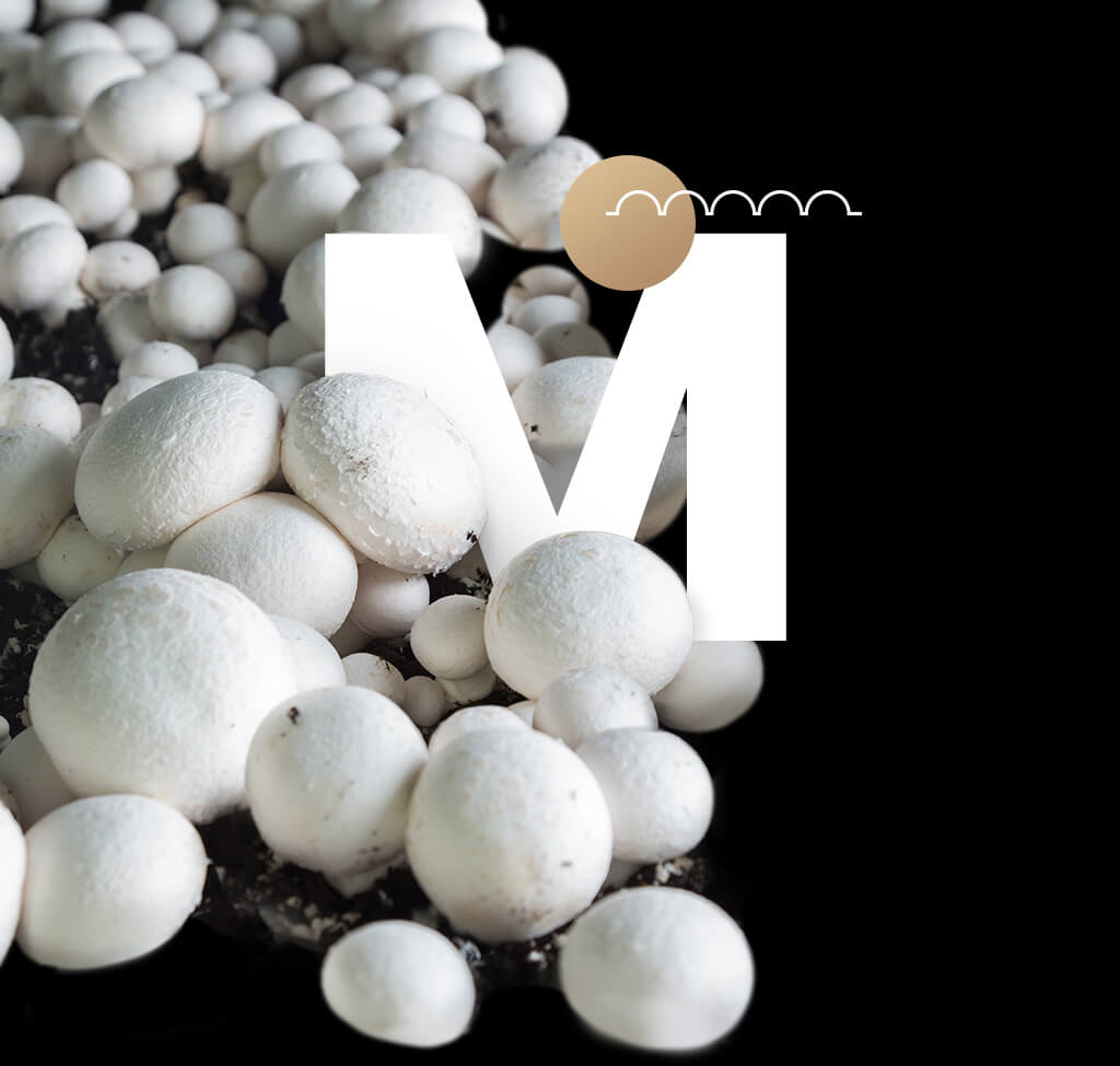 wokas